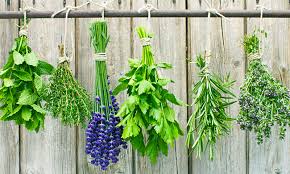 Healing Herbs